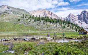 The parliament of marmots on the Fanes meadows